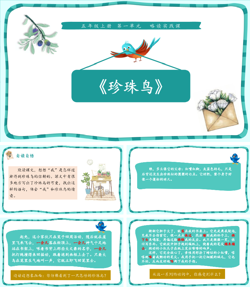 珍珠鸟PPT课件.pptx