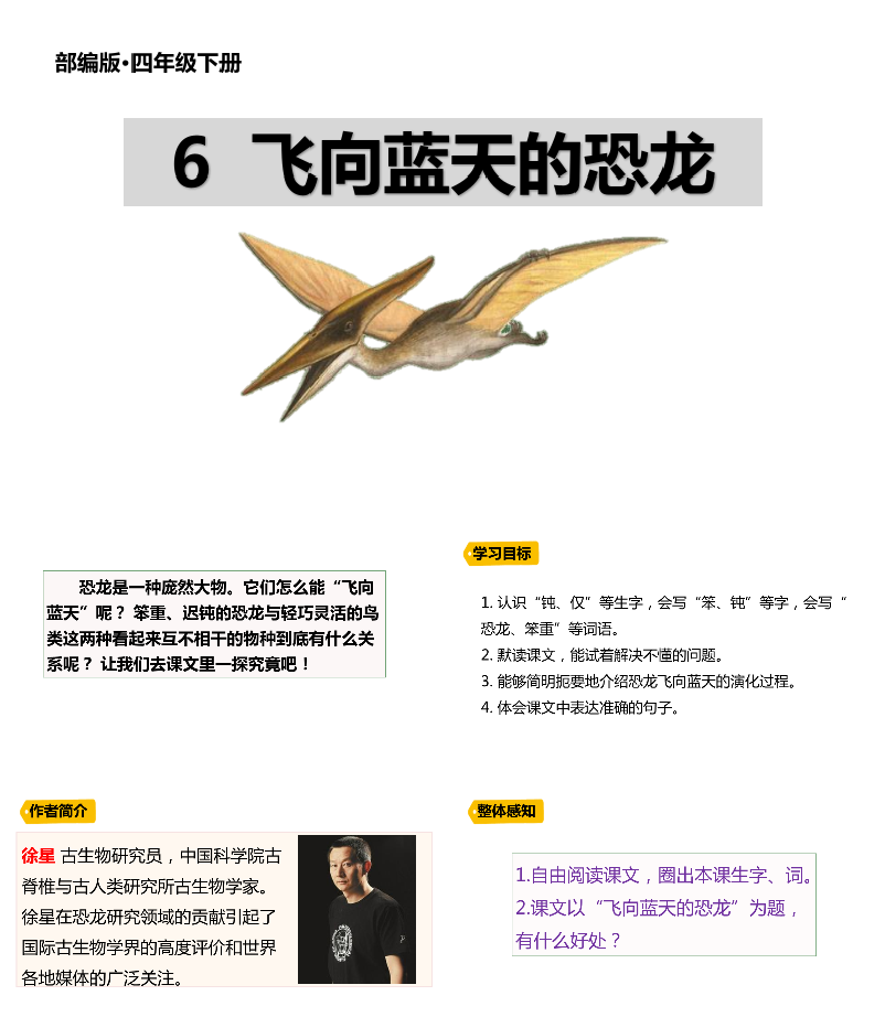 飞向蓝天的恐龙PPT课件.pptx